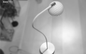 boasform